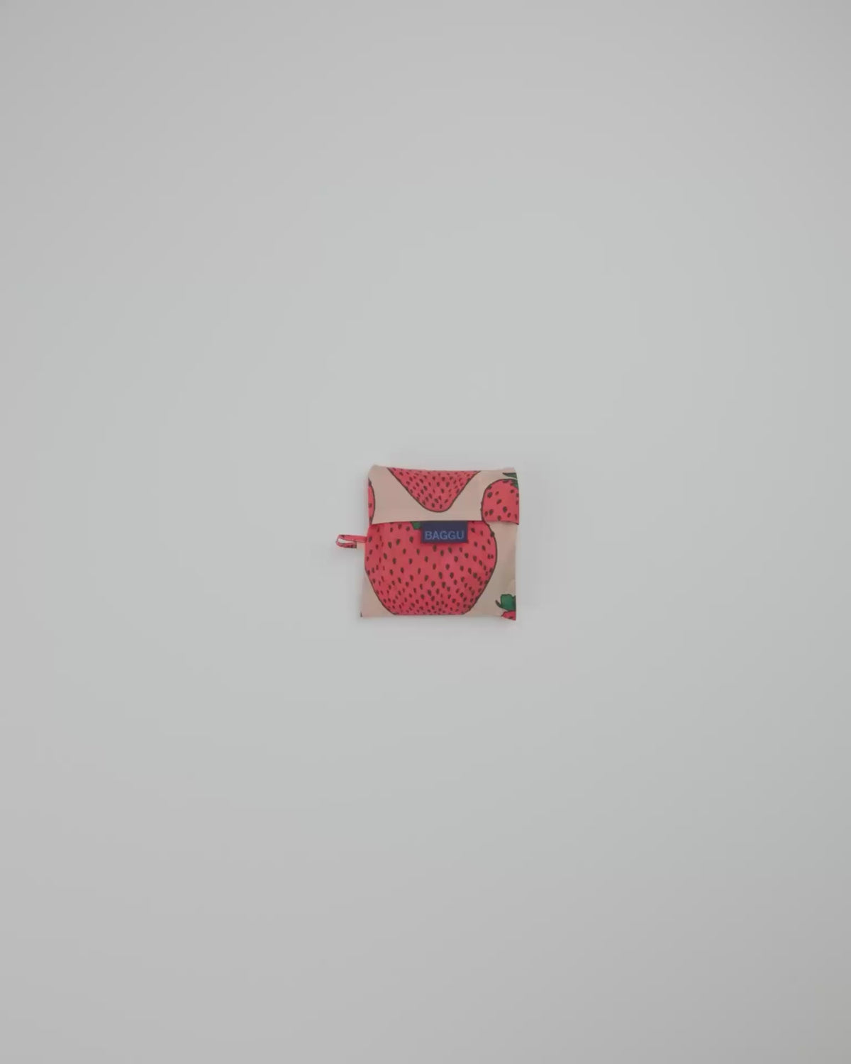 STANDARD BAGGU